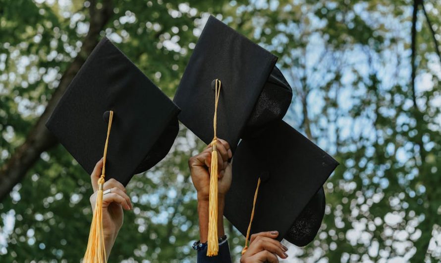 Купить диплом с реестром отзывы реальные документы